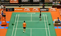 王睁茗VS陶菲克 2011新加坡公开赛 男单1/8决赛视频
