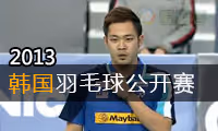 2013年韩国羽毛球公开赛