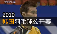 2010年韩国羽毛球公开赛