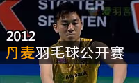 2012年丹麦羽毛球公开赛