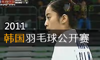 2011年韩国羽毛球公开赛
