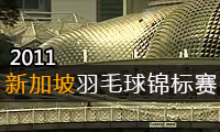 2011年新加坡羽毛球公开赛