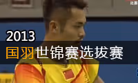 2013年国羽世锦赛模拟赛