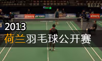 2013年荷兰羽毛球公开赛