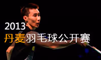 2013年丹麦羽毛球公开赛
