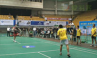 朱正林VS王双 2013自贡市运会羽毛球 男单决赛视频