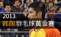 2013年韩国羽毛球黄金赛
