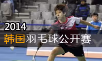 2014年韩国羽毛球公开赛