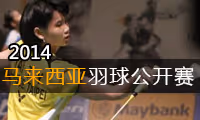2014年马来西亚羽毛球公开赛