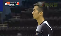 张维峰VS维汀哈斯 2014汤姆斯杯 男单1/4决赛视频