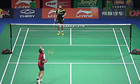 朗VS西尔伯曼 2014羽毛球世锦赛 男单资格赛视频