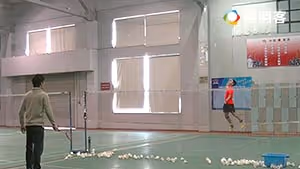 4点打1点（网前反手区） 