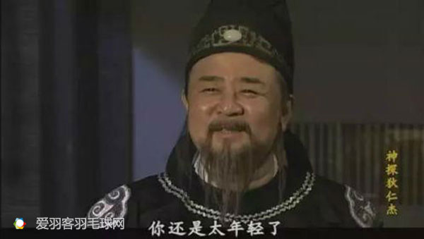 羽毛球运动员_羽毛球运动员收入(2)