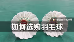 不会买羽毛球？一文教你看懂如何挑选！