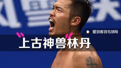 从暴力美学到太极神功，浅析林丹打法