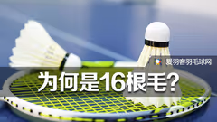 为何羽毛球是16根羽毛？知道算你牛！