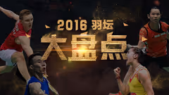 2016年羽坛大盘点