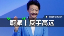 “羽坛皇后”李玲蔚，教你反拍高远球