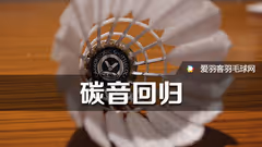 实测人造球“碳音”，超耐打+性价比高，其他品牌有活路吗? 