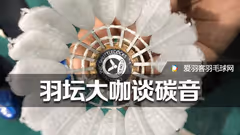 大咖谈碳音：太耐打，或导致大量羽球店死亡