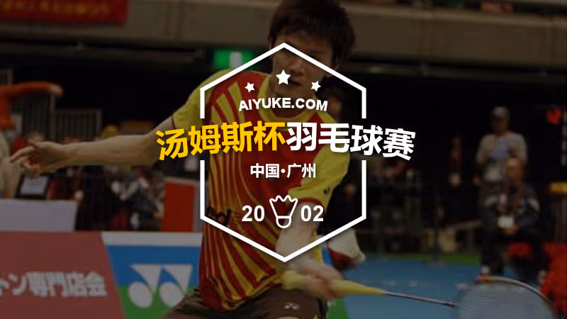 2002年汤姆斯杯羽毛球赛