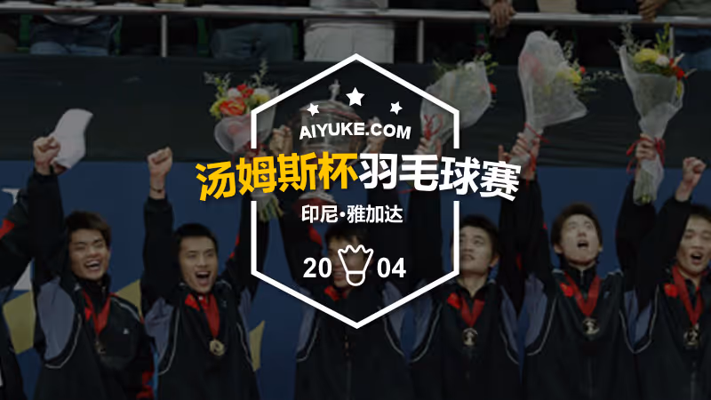 2004年汤姆斯杯羽毛球赛