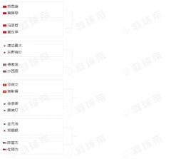 奥运混双八强淘汰赛签表出炉 国羽第一场就内战