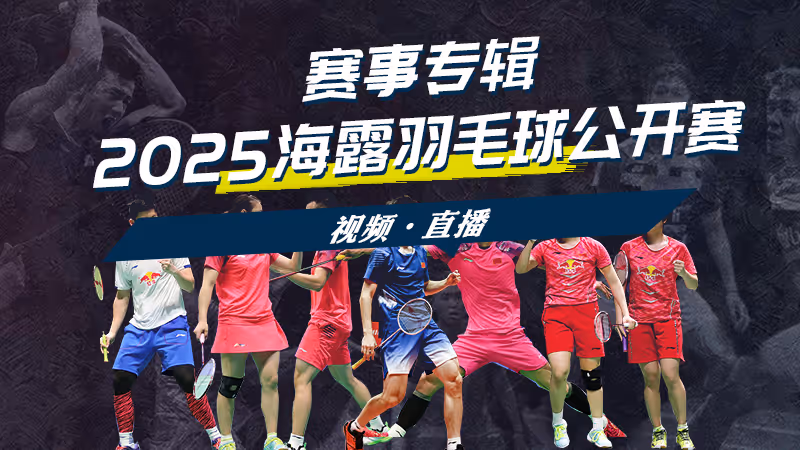 2025年海露羽毛球公开赛