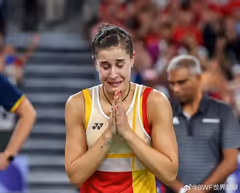 马琳今日接受手术 计划欧锦赛复出